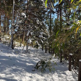 それなりに山感あって気持ちいい🎶
