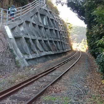 残念ながら汽車の通過はなかった。