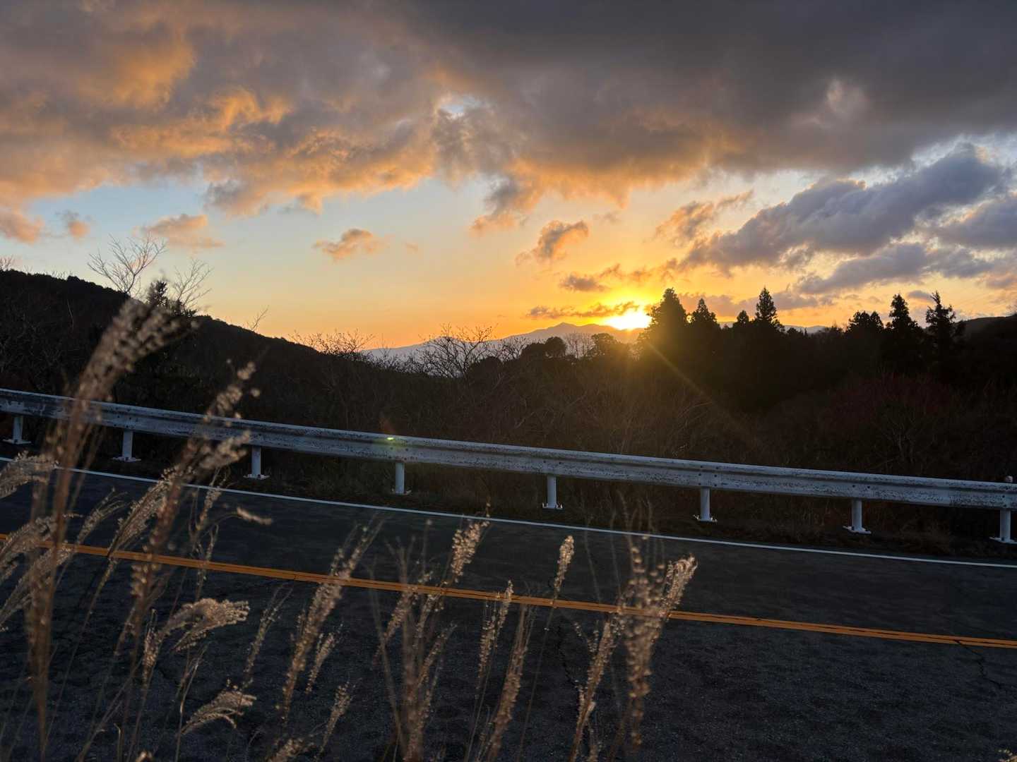 おはよう☀日の出だよ