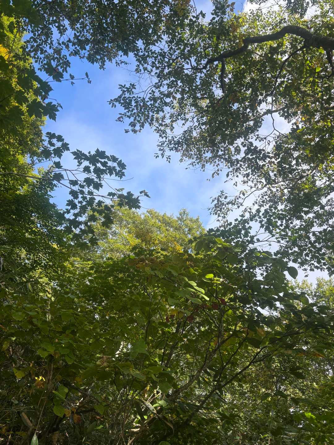 おっ、青空😍