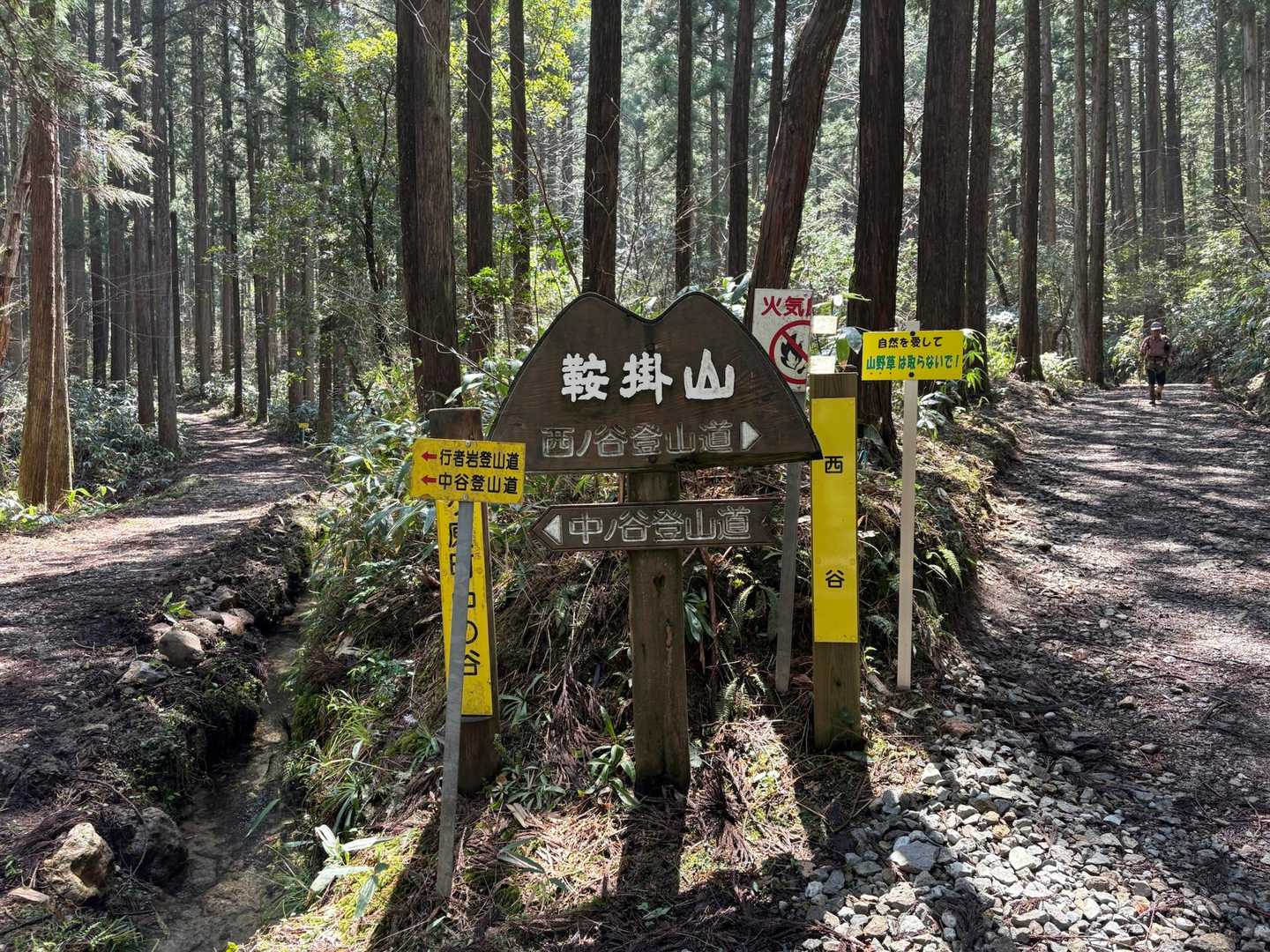 今日は西ノ谷コースから
