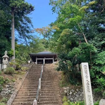 ゴールの松尾寺。
こっからバスが出てるはずが乗れずに・・・