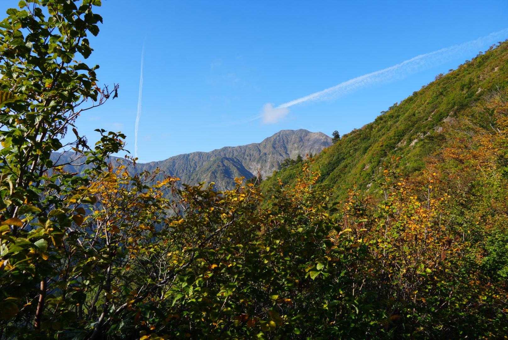 障子君がチラリ。
快晴を確信して気分は最高です⤴️