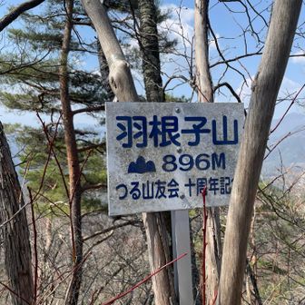 1個目のピーク到着っ！！
標識の裏に富士山いるけど‥保護色。