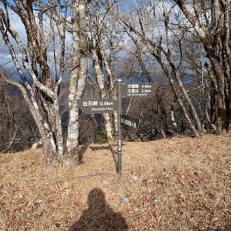 ここから富士山を期待しダラダラいくが。。。