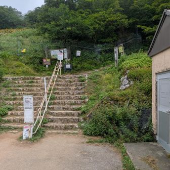 ここからは行った事が無いです。