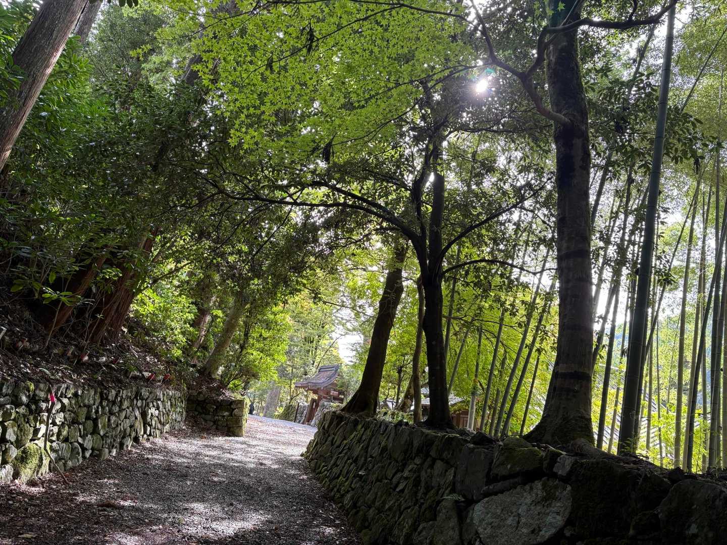 登山口付近は　まだ紅葉無し