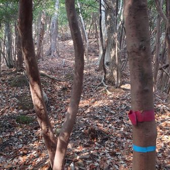 目印テープあります