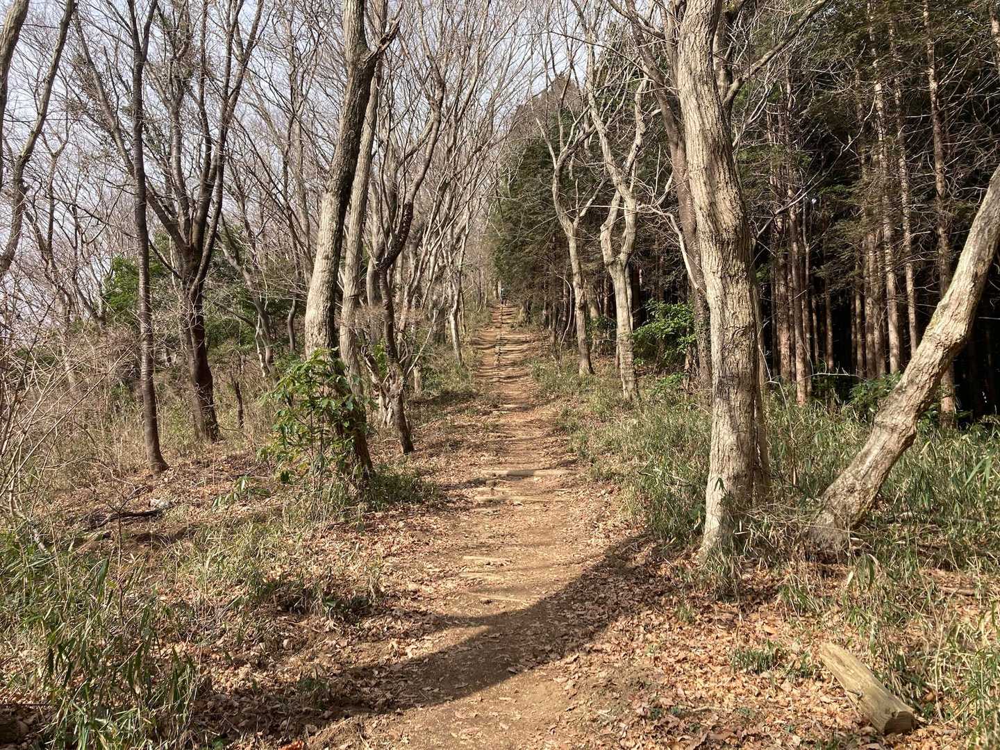 雨引観音バス停-雨引観音-雨引山-御嶽山 往復コースの写真
