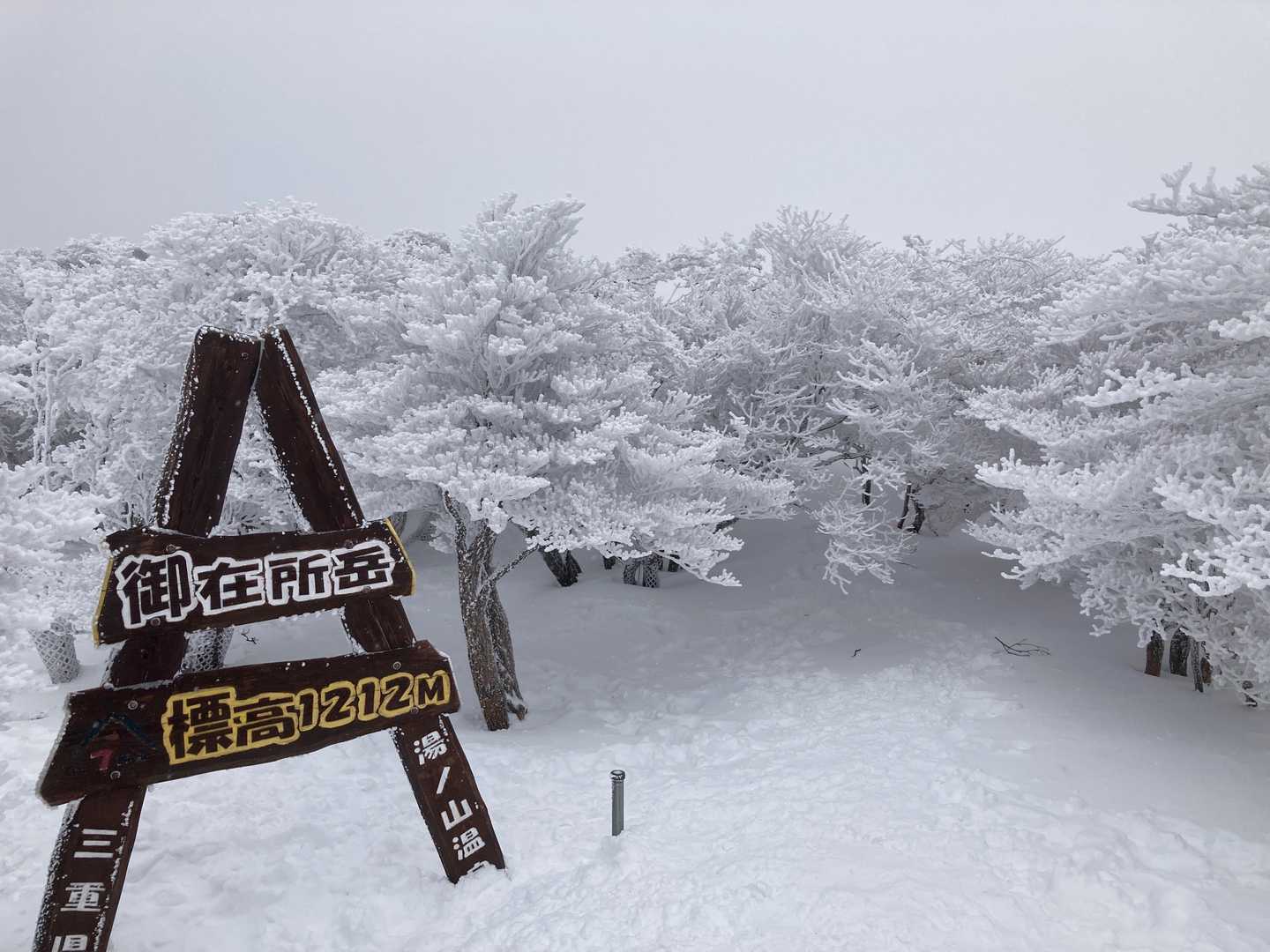 山上公園駅発着｜ロープウェイ利用の御在所山 往復コースの写真