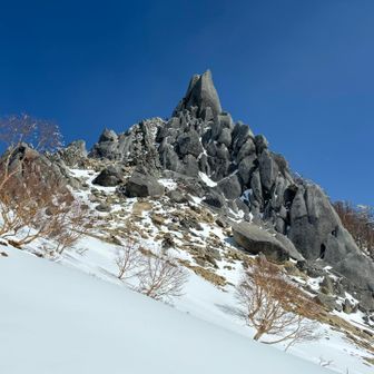 来て良かった〜
