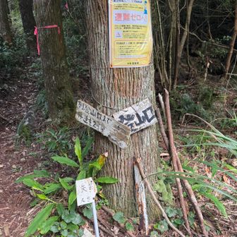 登山口までまあまあ歩く