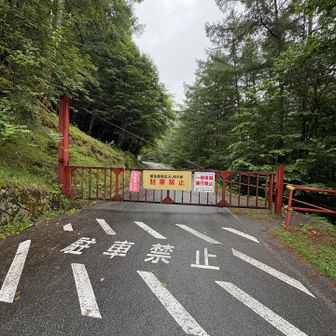 林道を歩いて駐車場まで戻ってきました

このあと、また雨が強く降り出しました
駐車場に戻ってきてからで良かったー

お天気には恵まれませんでしたが
無事に塩見岳に登頂できて良かったです

雨の中でも登られる方が多くいらっしゃいました
みなさん明るくお話しして下さったおかげで
楽しむことができました
良い経験、良い出会いとなり思い出に残る山行になりました