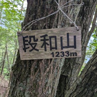 四座目🏕️
眺望はなく危うくスルーするところ😅