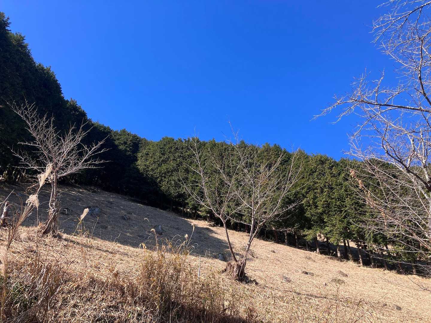 茶の文字の下のあたりかな
いい天気でいい汗かいた。