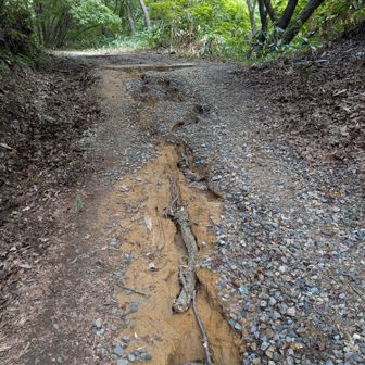 かなりの水量だったのが解ります。遊歩道の中央がえぐられてぃます😅💦