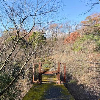 道ないやんと思ったら右に降りるとこあった