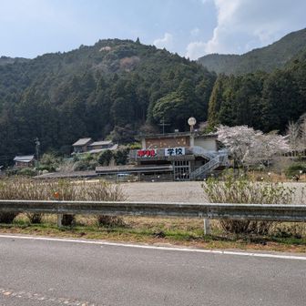 定番のホタル学校前から。