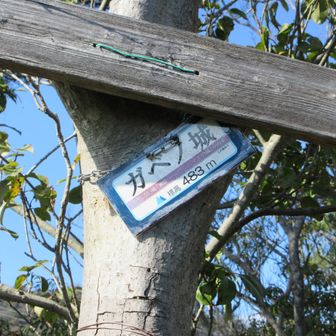 絵に描いた餅、実在しない城なんで画餅ノ城が由来とかと、プレートに書かれてました