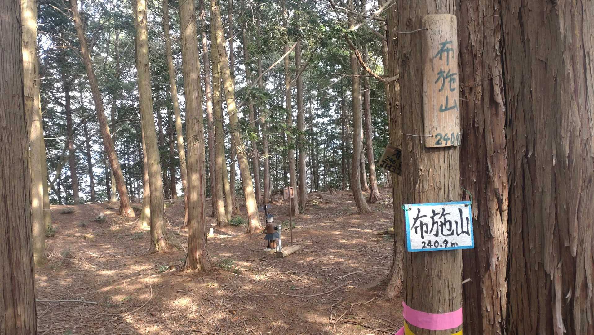 布施山（玉緒山）の写真
