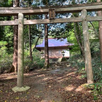 神社で安全祈願⛩️
