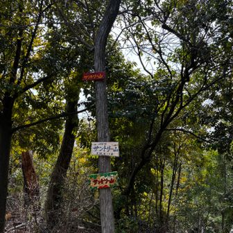 サントリーが見えるのかと思いきや、視界ゼローォ🙄