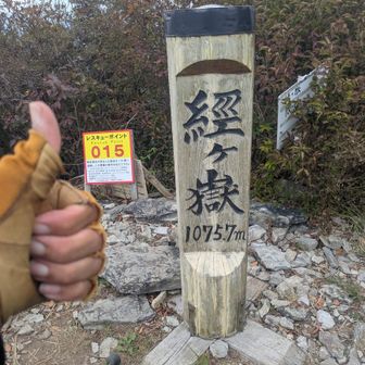 お疲れノンアルビール家に忘れてきました💦