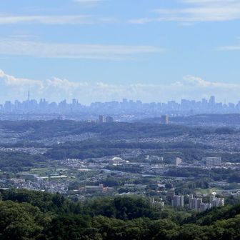都内のビルがよく見える