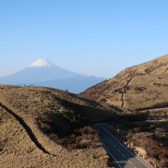 素敵な道で幸せ💛②