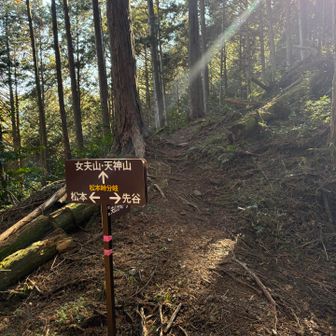 頑張って登るぞー
