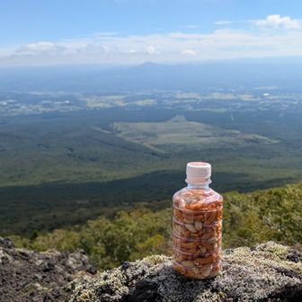 柿ピー100g、およそ500キロカロリー