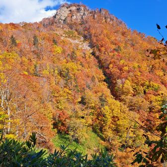 木挽分岐から百松沢林道コースへ
ちょっと行くと巌望台
神威岳の眺めが良いです⛰️
