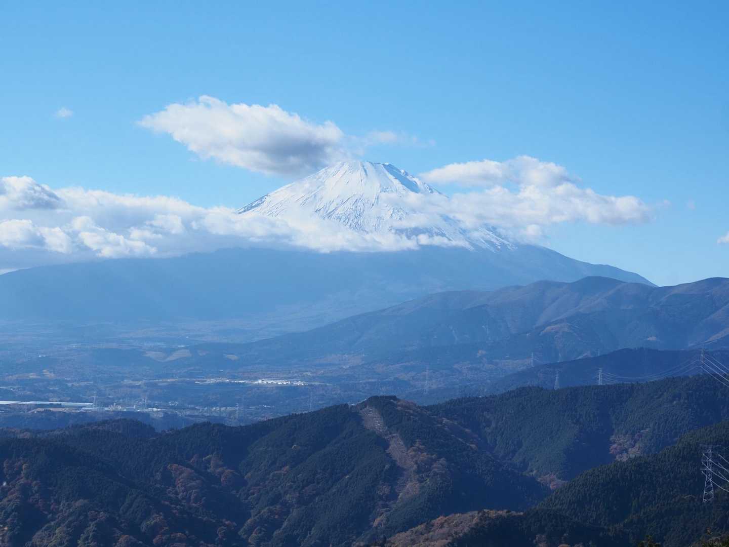 谷峨駅-大野山 往復コースの写真