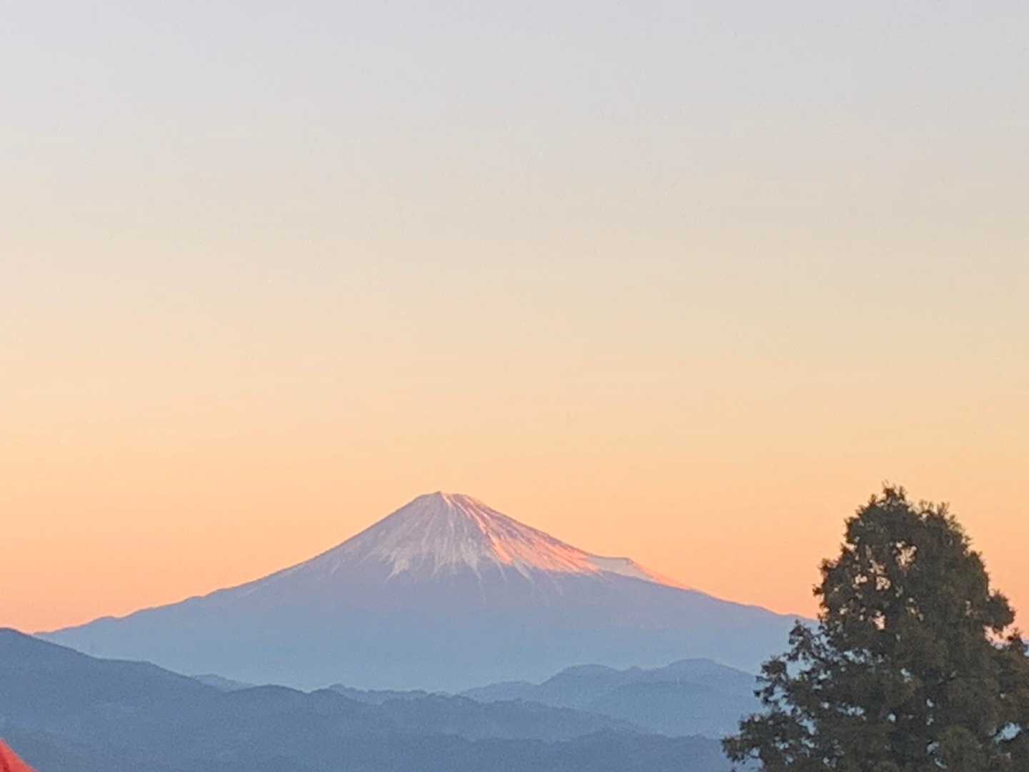 今年もヨロシクお願いします