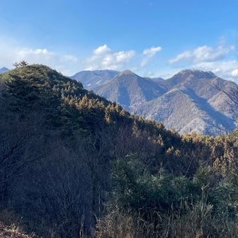 奥が武川岳、その前が伊豆ヶ岳、そして高畑山