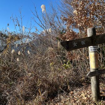 白山から女坂に入ります
その前に展望台から2度目の眺め