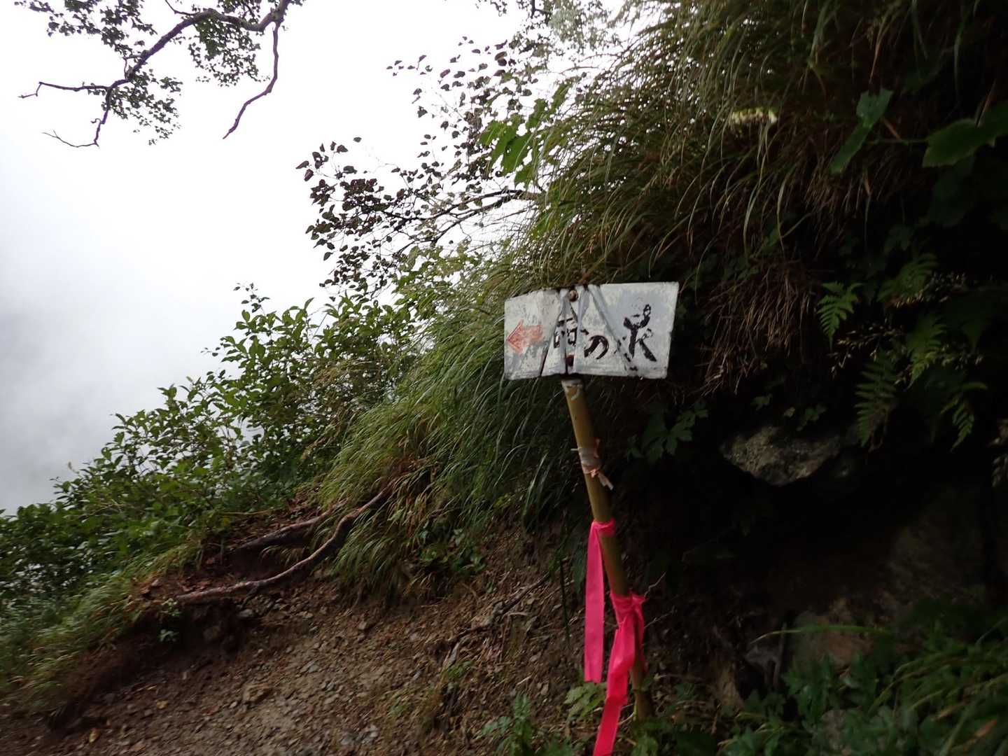 "日本百名山最難関"とも言われる幌尻岳の沢沿いコースの写真