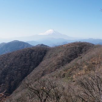 富士山が近い!