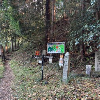 さあ登ります。