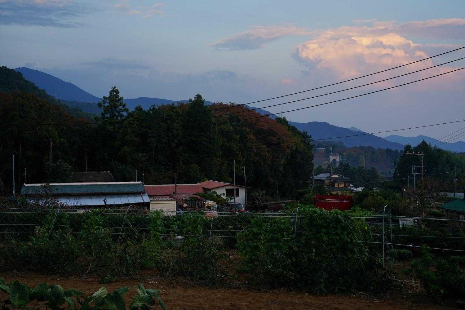 三ノ塔-烏尾山-行者ヶ岳-戸沢の出合登山口-大倉バス停 縦走コースの写真