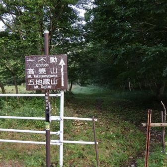 ここから登山道かな⁈