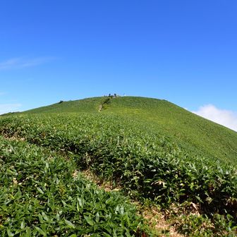 女山山頂へのビクトリーロード