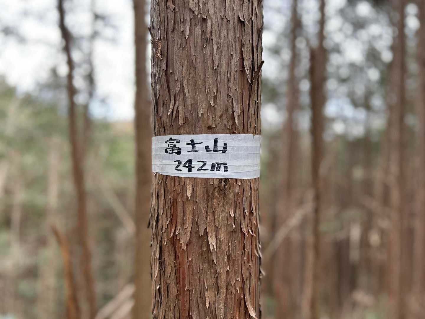 三峯山-鳥屋山-牧場山-西登山口 縦走コースの写真