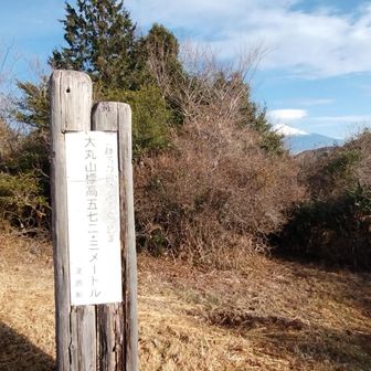 大丸山には、鉄塔があります。