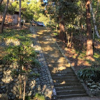 下から見るとこんな感じ