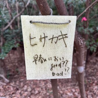 Barry GOOD👍
春を感じます