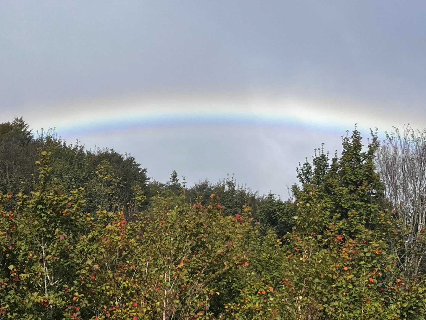 しばらくすると山の端に虹が🌈
天気が良くなるのかな〜