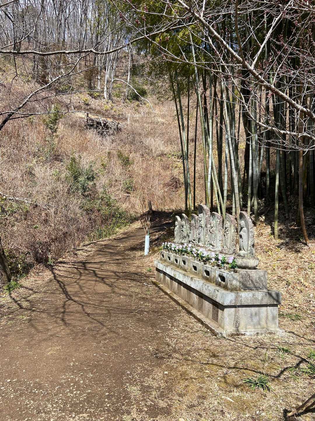 関山登山道入口-阿夫利神社-関山-内松登山口 周回コースの写真