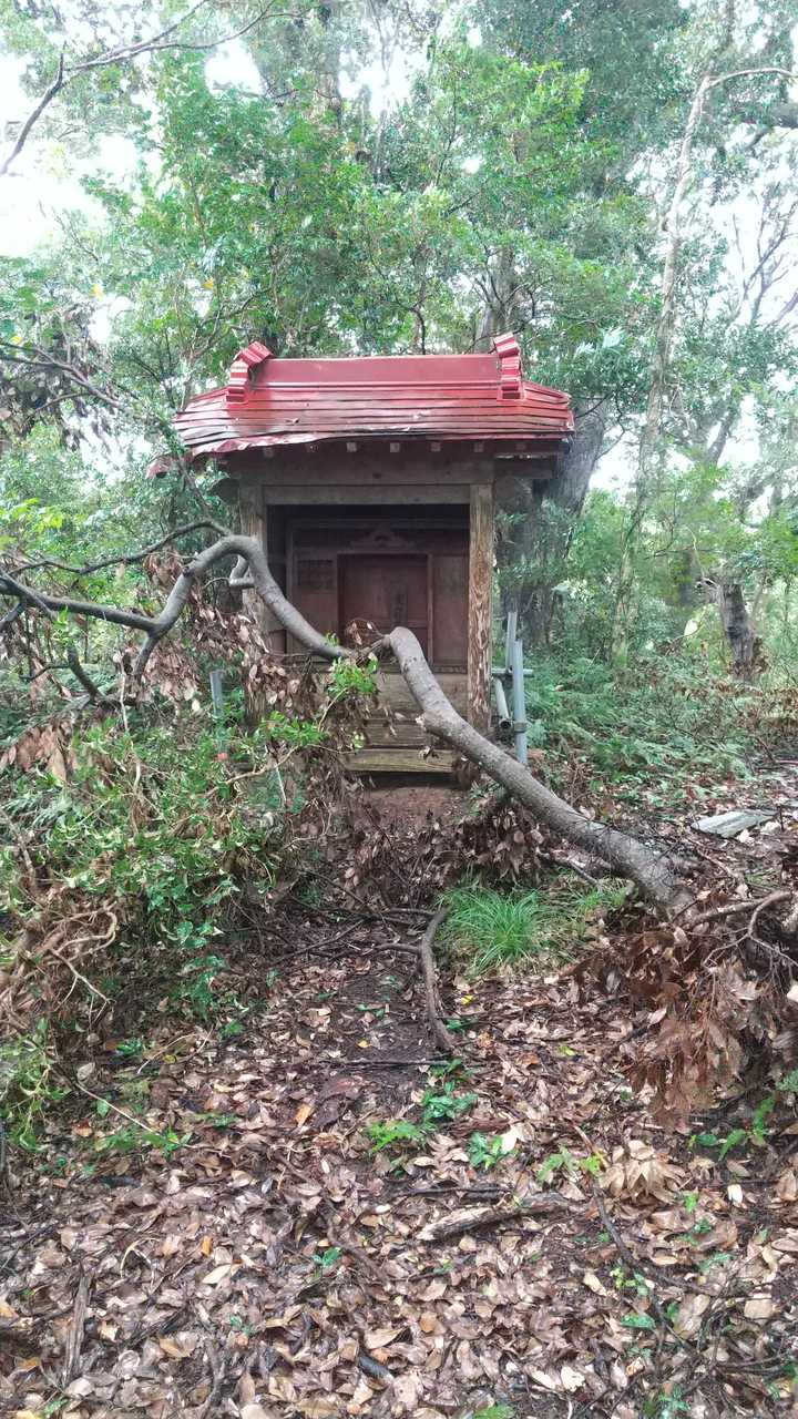 山頂