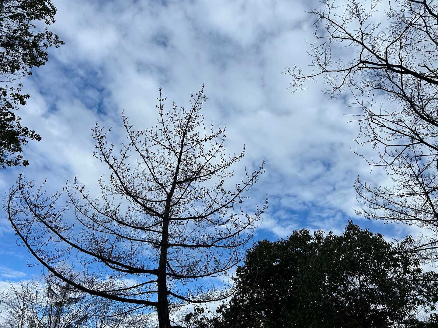 青空🟦が見えた